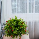 5311515327_tyul-elochka-zhakkard