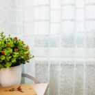 5369619473_tyul-zhakkard-s