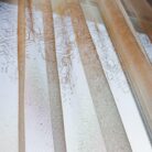 5461409974_tyul-zhakkard-tsvet