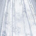 5786297906_belyj-tyul-zhakkard