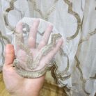 6456287344_belyj-tyul-grek