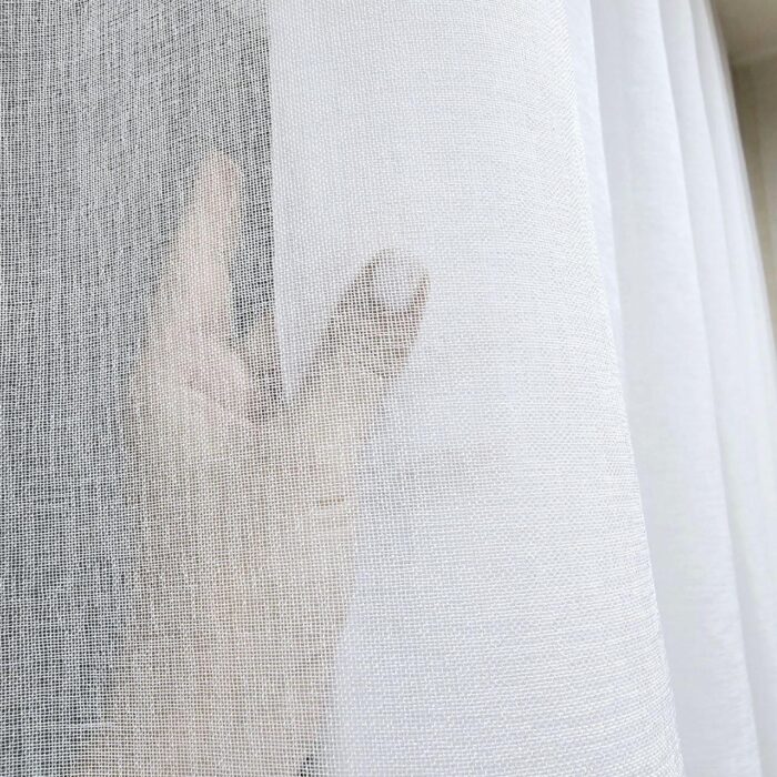 6466980103_belyj-tyul-len 6466980103_belyj-tyul-len