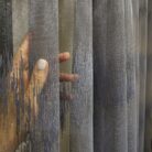 6480892644_tyul-zhakkard-tsvet