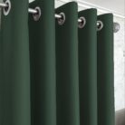 6581562728_komplekt-zelenye-shtory